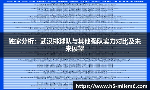 独家分析：武汉排球队与其他强队实力对比及未来展望